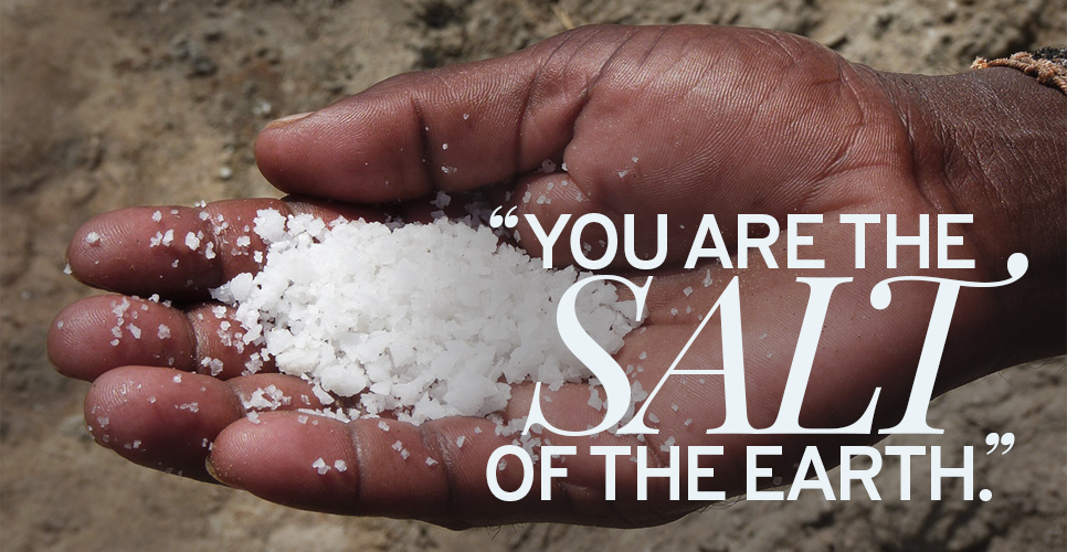 You are the salt of the earth