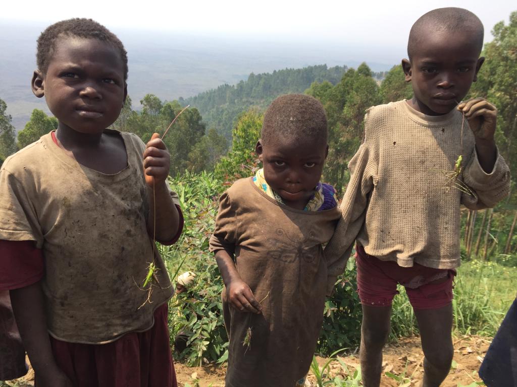 After food prices skyrocketed, these young boys spent their mornings hunting grasshoppers to eat... because there’s no food at home.