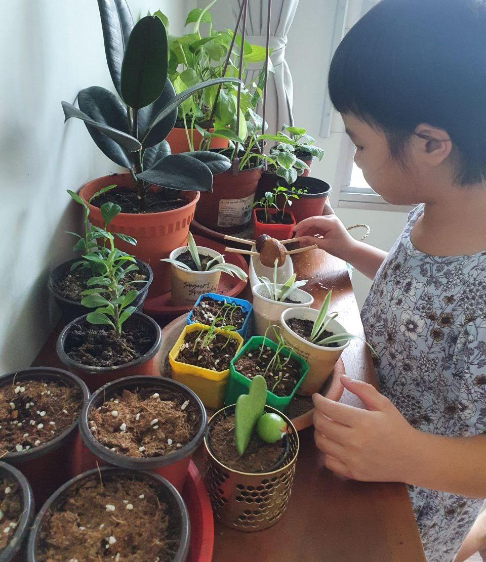 Mya carefully tending to the plants she propagated for her fundraising sale.