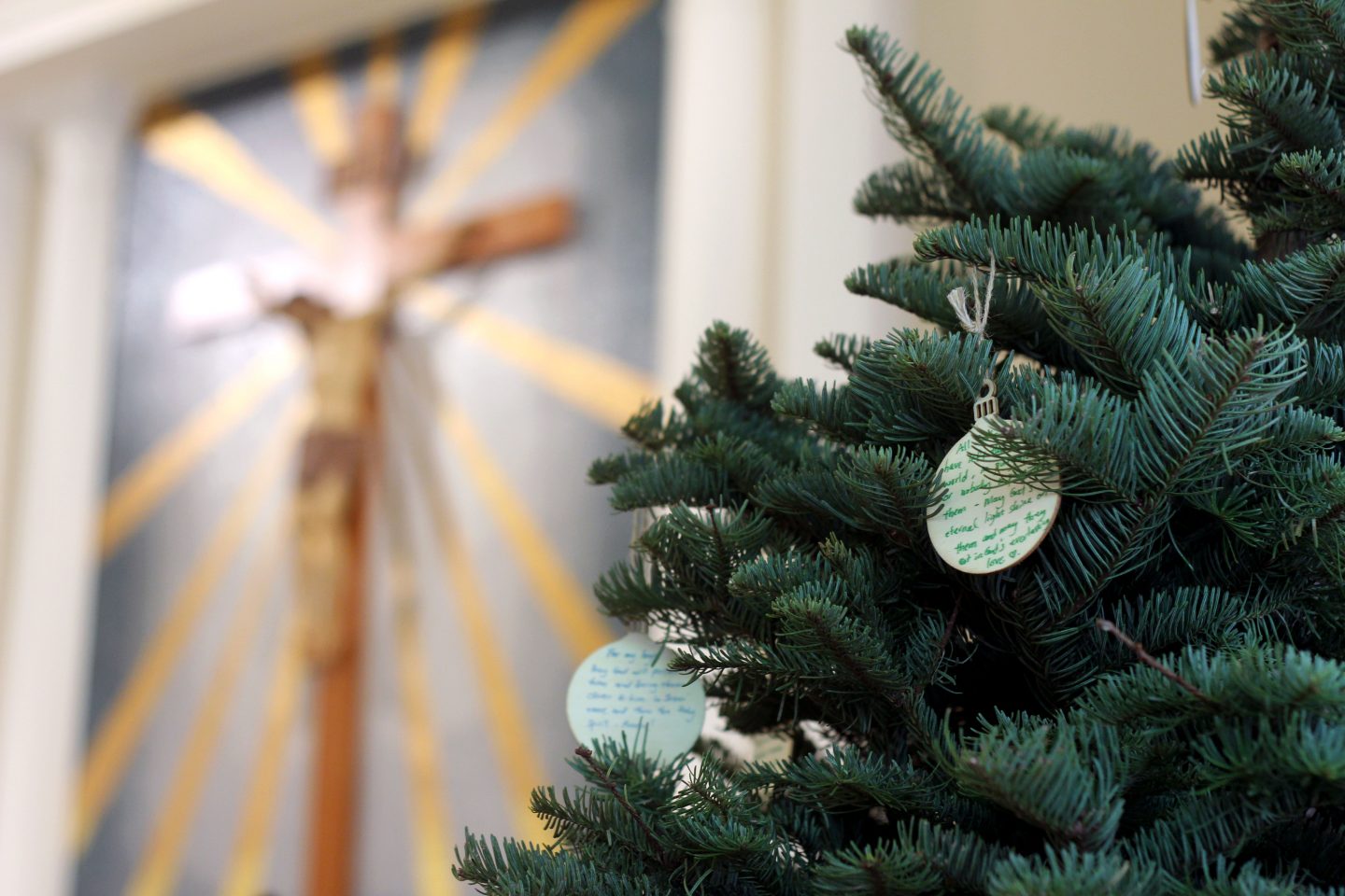 Those who submitted Advent prayer intentions online will have their petitions hung on the Christmas trees in front of the church.   