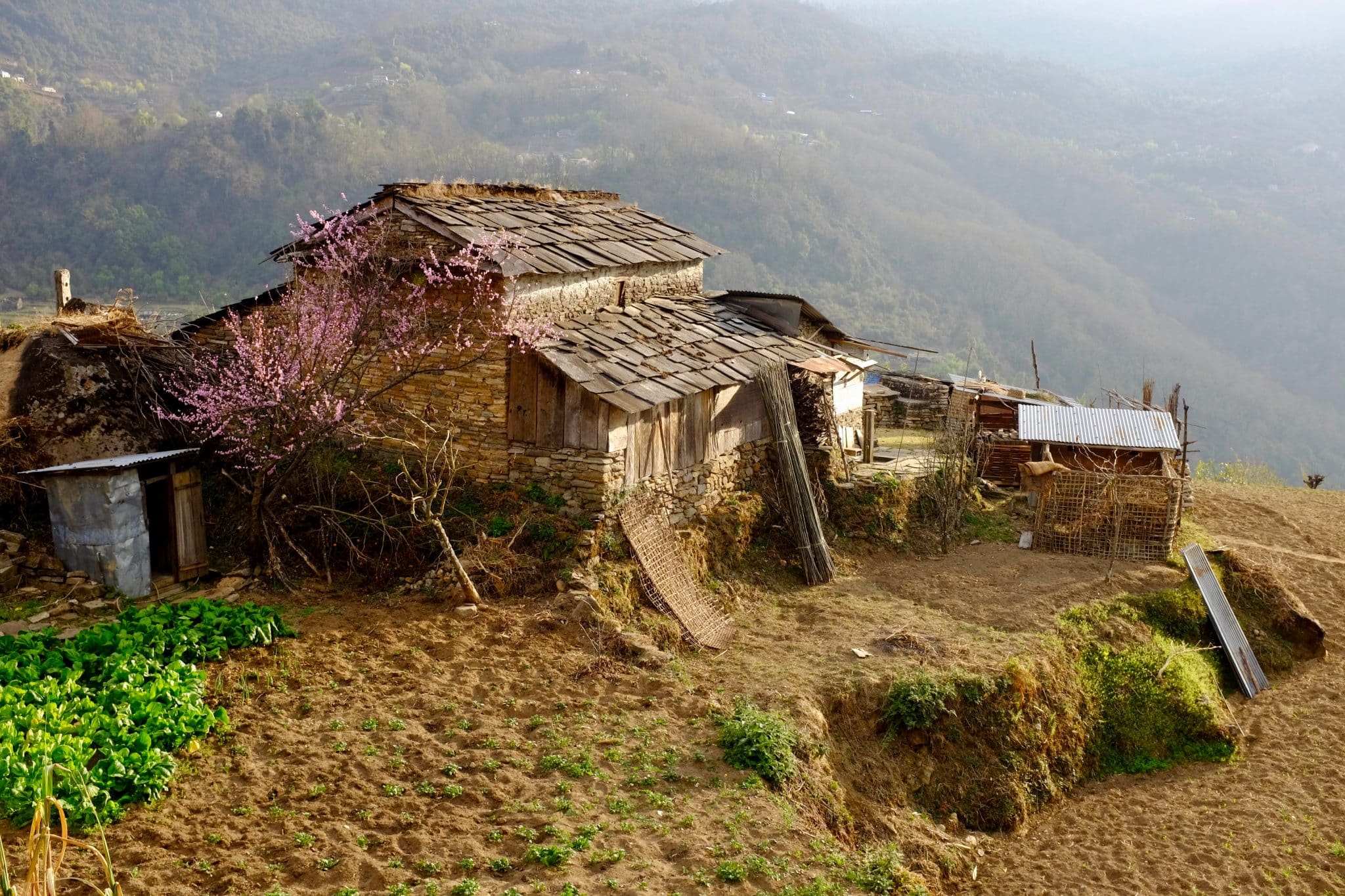 A village house surrounded by ploughed earth is bathed in golden evening light. In Nepal, farmers using the traditional method of ploughing the earth with oxen is a common sight. Photo by Winston Chin.